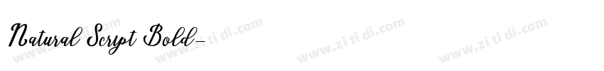 Natural Script Bold字体转换